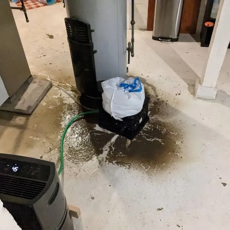 Sewage Backup Cleanup Service in Ashland, CA